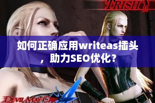 如何正确应用writeas插头，助力SEO优化？