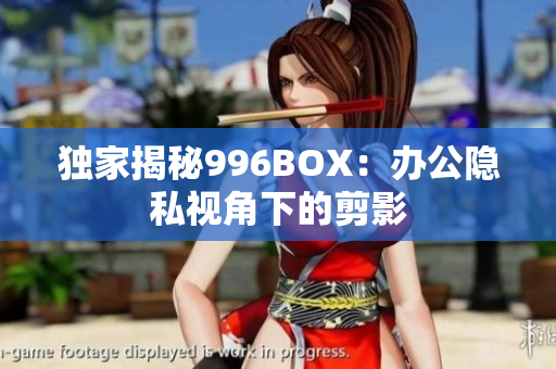 独家揭秘996BOX：办公隐私视角下的剪影