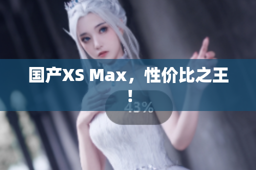 国产XS Max，性价比之王！