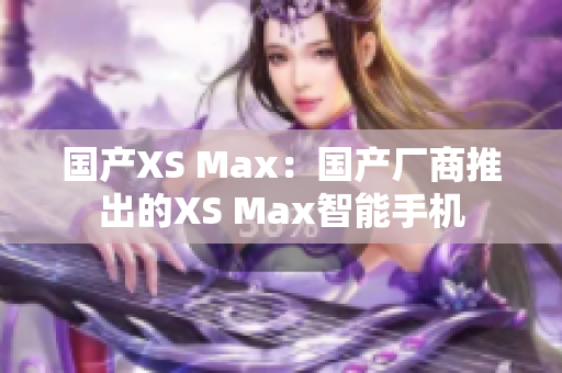 国产XS Max：国产厂商推出的XS Max智能手机