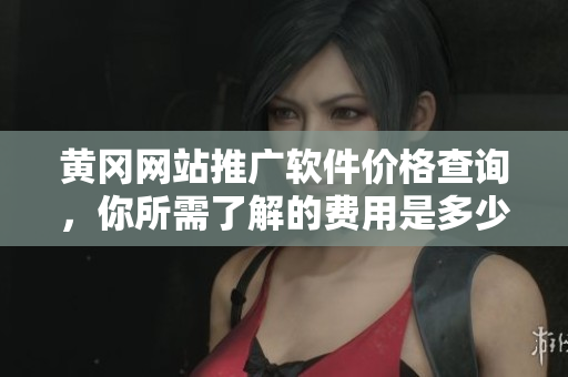 黄冈网站推广软件价格查询，你所需了解的费用是多少？