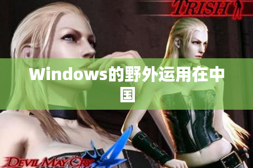 Windows的野外运用在中国