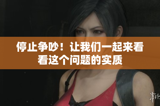 停止争吵！让我们一起来看看这个问题的实质