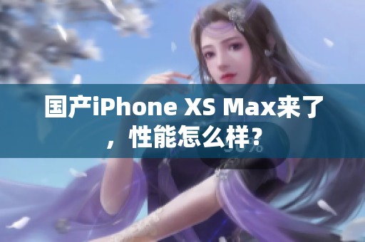 国产iPhone XS Max来了，性能怎么样？