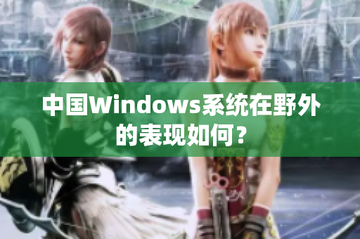 中国Windows系统在野外的表现如何？