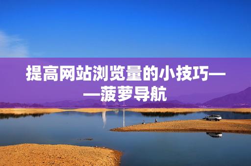 提高网站浏览量的小技巧——菠萝导航