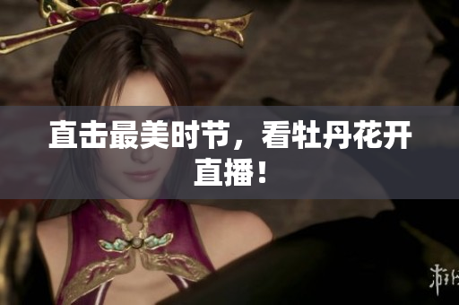 直击最美时节，看牡丹花开直播！