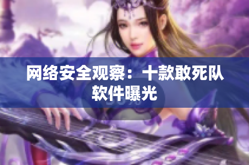 网络安全观察：十款敢死队软件曝光