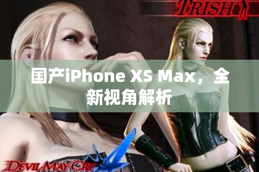 国产iPhone XS Max，全新视角解析