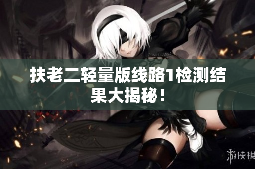 扶老二轻量版线路1检测结果大揭秘！