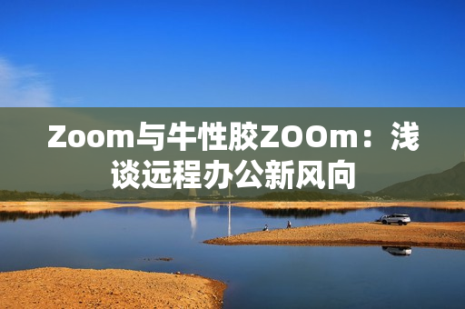 Zoom与牛性胶ZOOm：浅谈远程办公新风向
