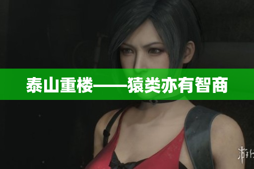 泰山重楼——猿类亦有智商