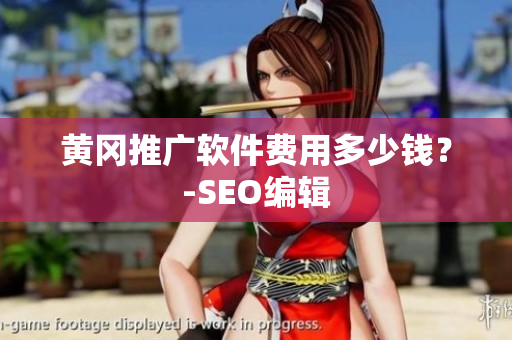 黄冈推广软件费用多少钱？-SEO编辑