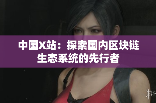 中国X站：探索国内区块链生态系统的先行者