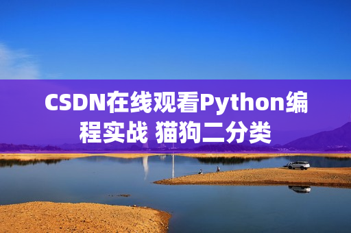 CSDN在线观看Python编程实战 猫狗二分类